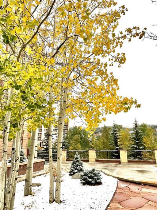 Hyatt Residence Club Main Street Station Breckenridge Exterior foto